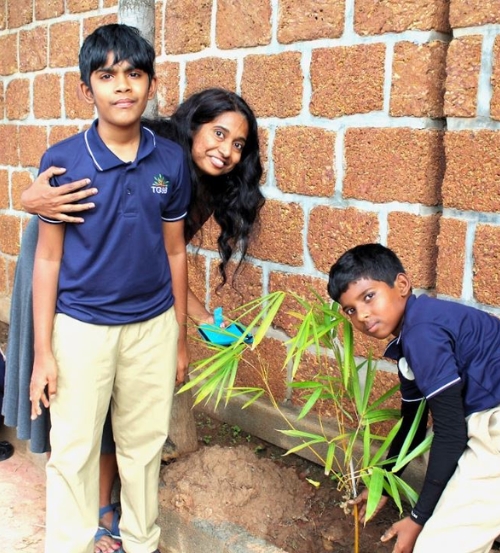 Bamboo Plantation In Bengaluru