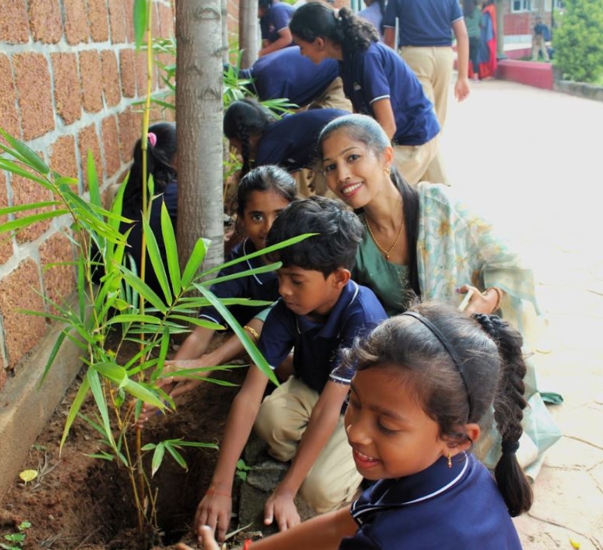 CSR Plantation Drives