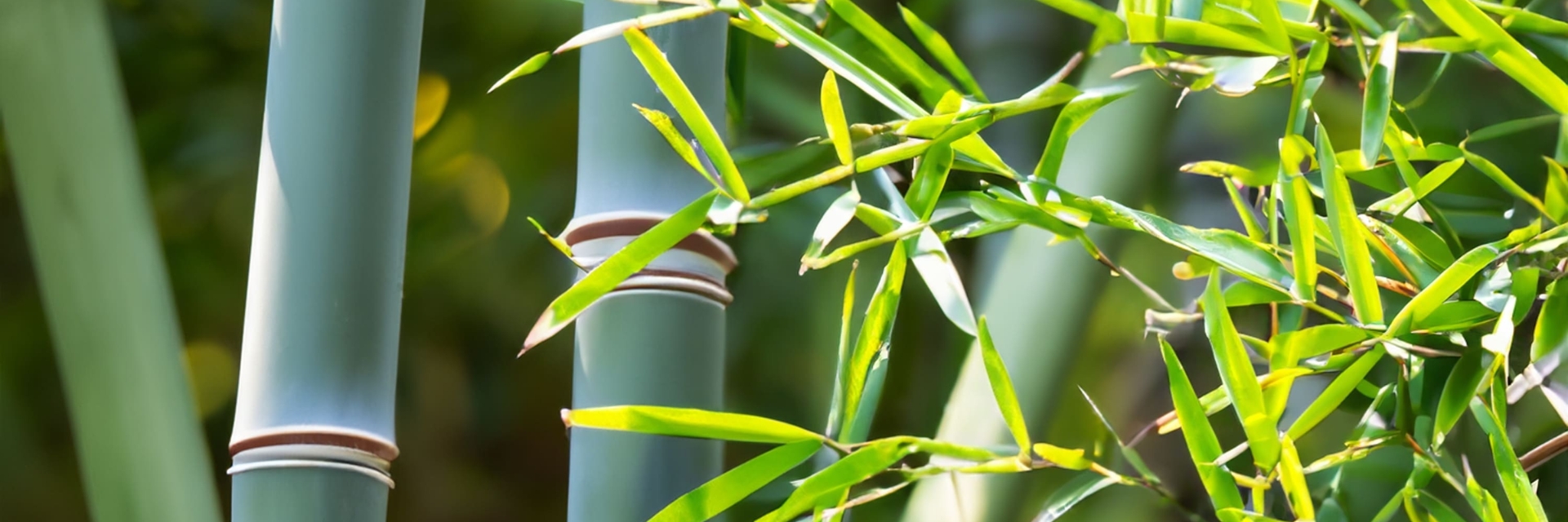 Sustainable Living Bengaluru