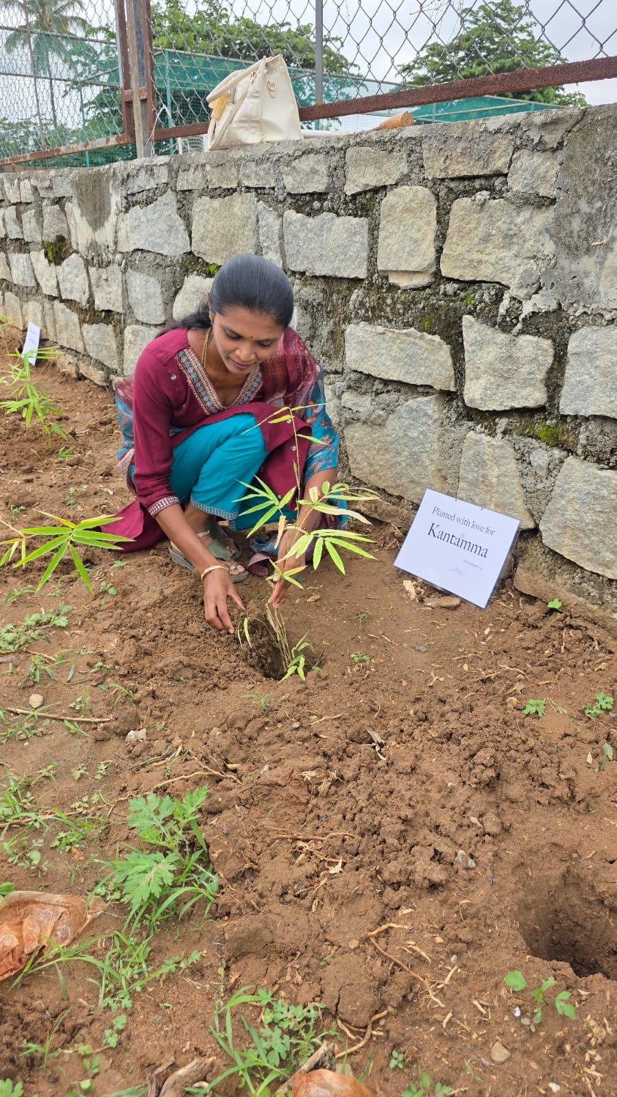 Ek Ped Maa Ke Naam Program